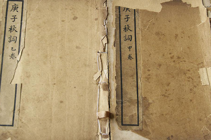 组词大全