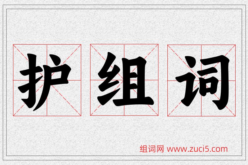 护字的组词