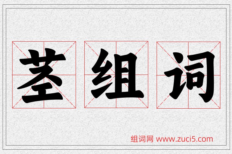 茎字的组词