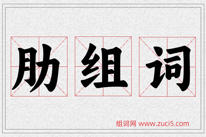 肋字的组词