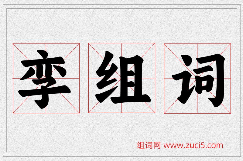 孪字的组词