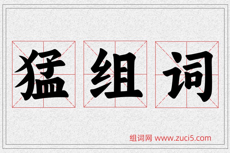 猛字的组词