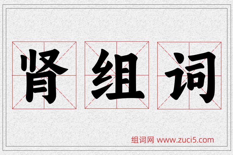 肾字的组词