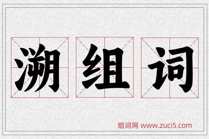 溯字的组词