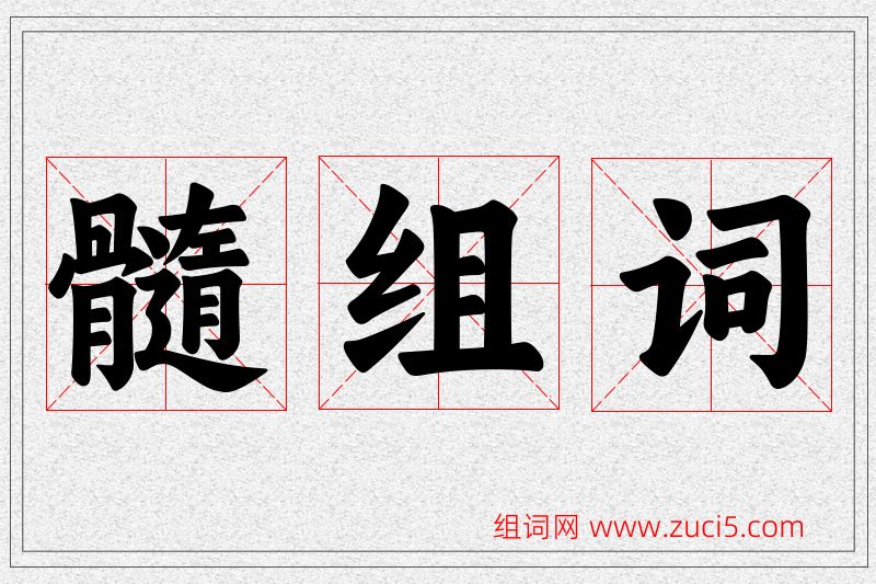 髓字的组词