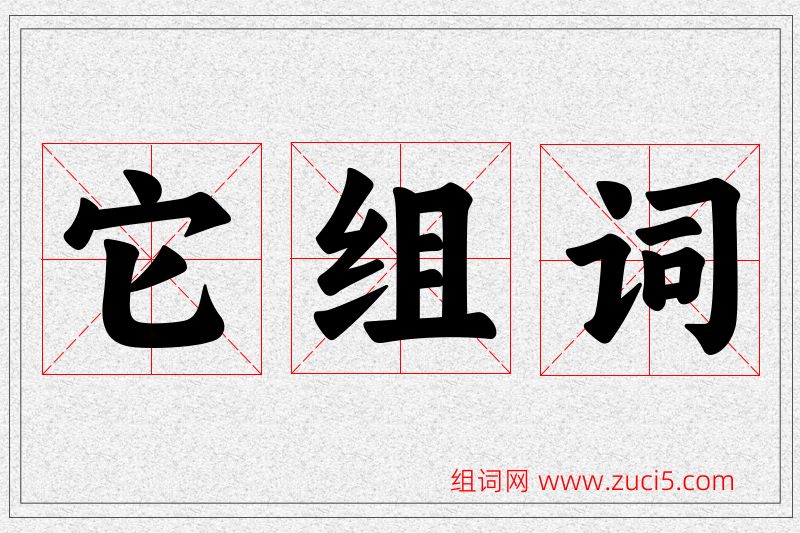 它字的组词