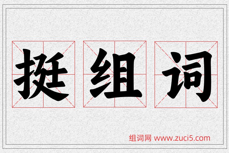 挺字的组词