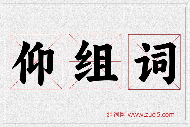 仰字的组词