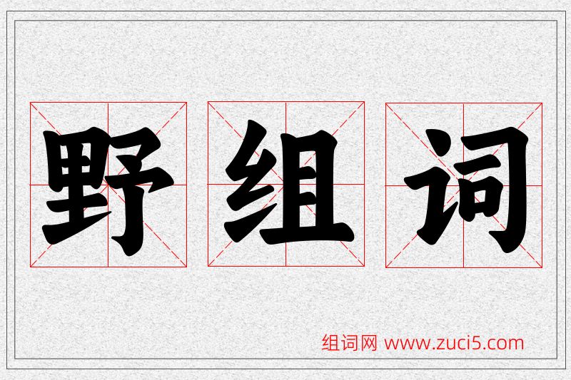 野字的组词