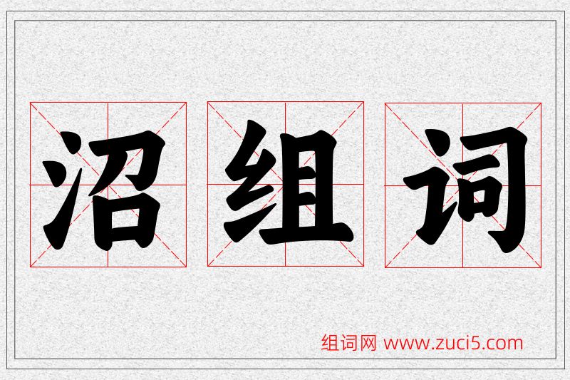 沼字的组词