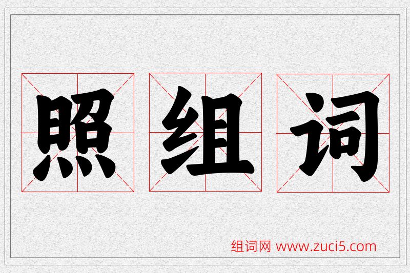 照字的组词