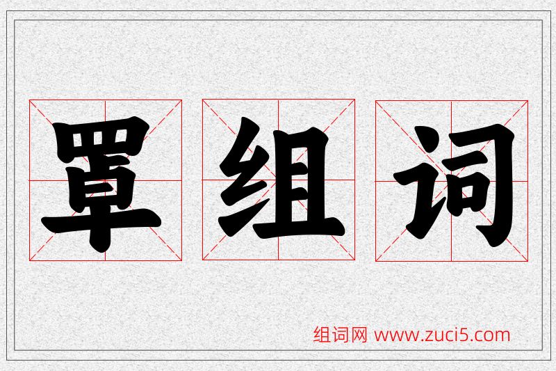 罩字的组词