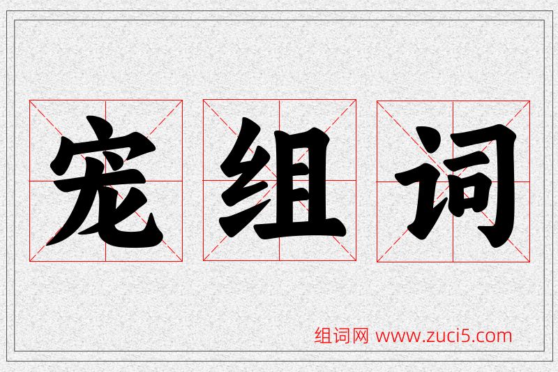 宠字的组词