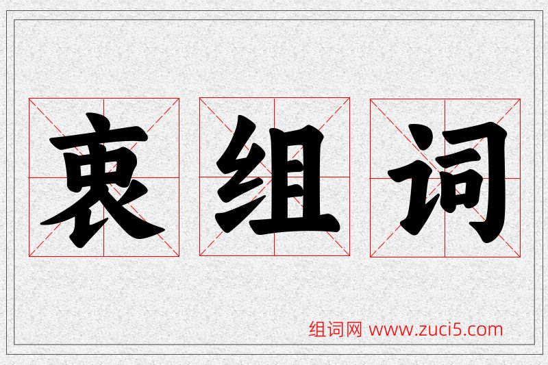 衷字的组词