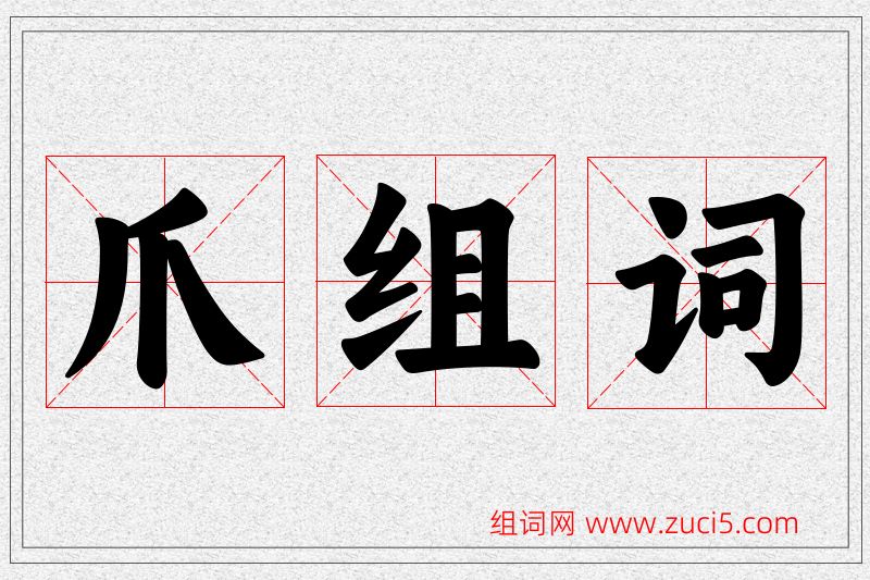 爪字的组词