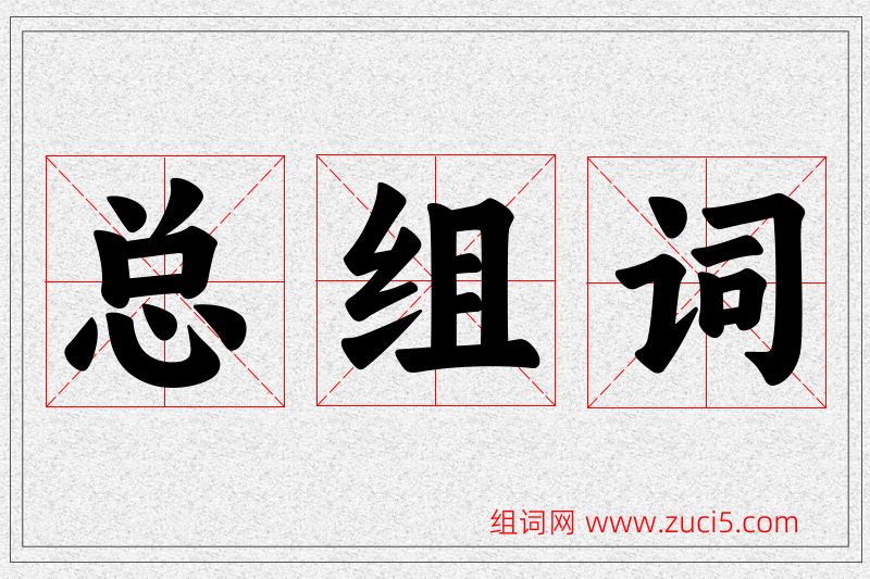 总字的组词