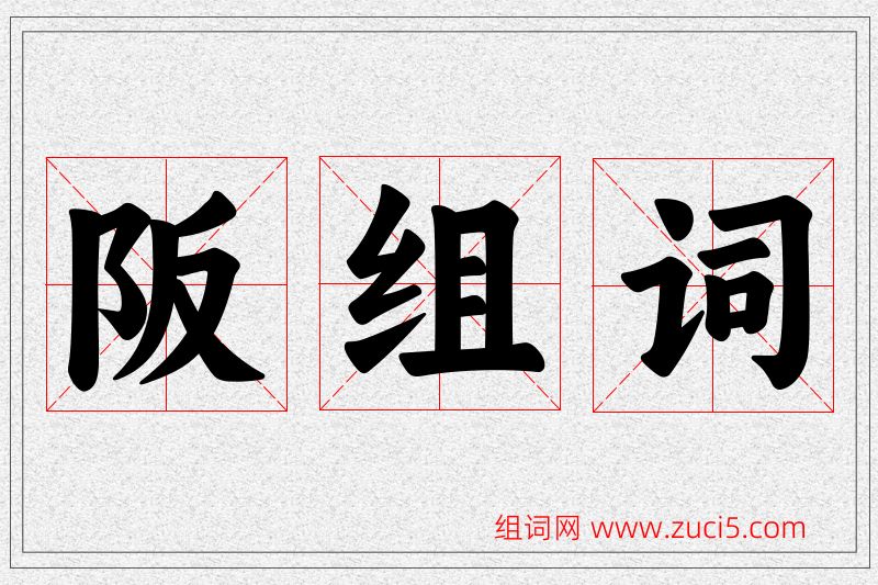阪字的组词