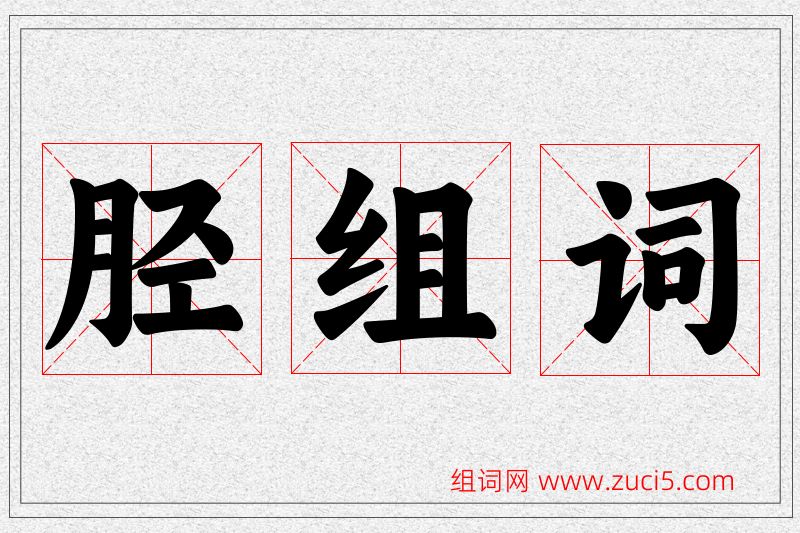 胫字的组词