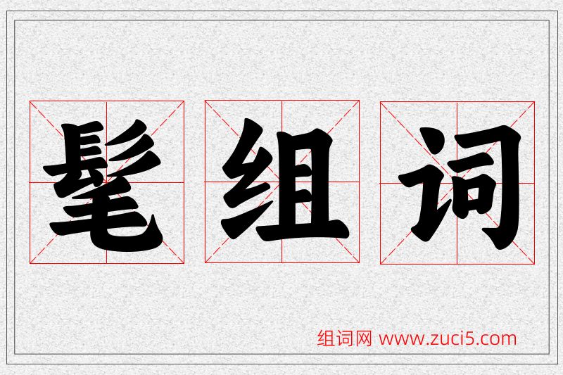 髦字的组词