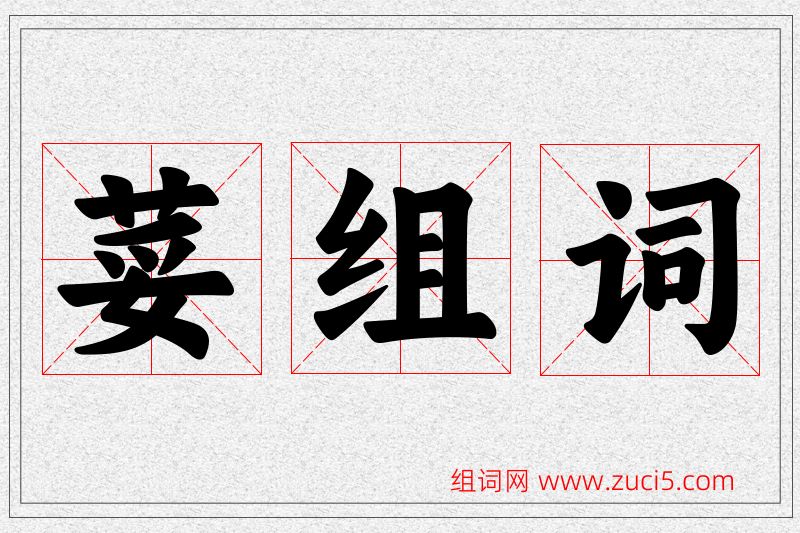 荽字的组词