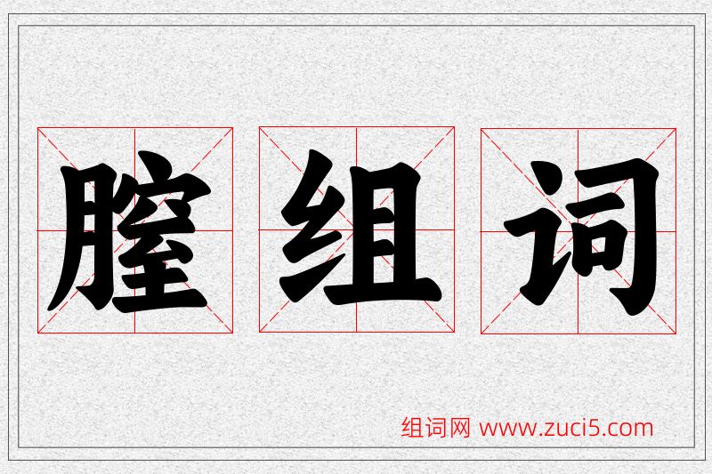 膣字的组词